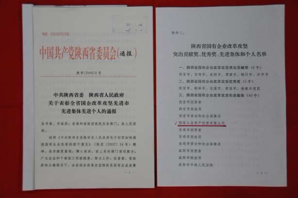 2009年2月，被陜西省委、省政府授予陜西省國有企業(yè)改革攻堅先進(jìn)集體